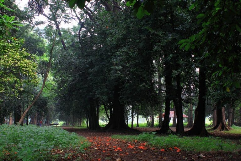 EMPRESS GARDEN Pre wedding shoot location